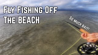 Fly Fishing on the Beach  Sanibel Island  Fish Feeding Frenzy [upl. by Yslehc]