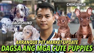 MGA BAGONG ALOK NG ARRANQUE PET MARKET  APRIL 18 2024 [upl. by Barby832]