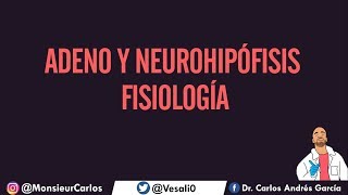 Fisiología  Hipófisis Hormonas Regulación de la Adeno y Neurohipófisis [upl. by Ehcsrop]