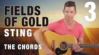 quotFields of Goldquot Guitar Lesson Part 3  The Chords [upl. by Drislane704]