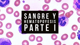 🩸SANGRE y HEMATOPOYESIS  Parte I [upl. by Elokin]