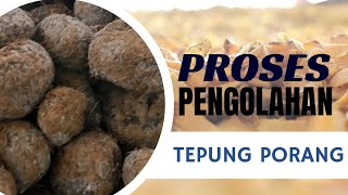 PROSES PRODUKSI DAN PENGOLAHAN PORANG [upl. by Atelra]