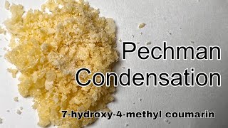 7hydroxy4methyl coumarin  Organic Synthesis  Pechman Condensation [upl. by Aivatnuahs]