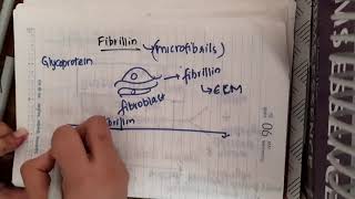 Fibrillin  Biochemistry [upl. by Ciprian]