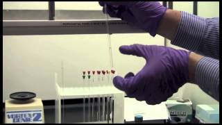 Basic NMR Sample Preparation  Yale CBIC [upl. by Aidin]