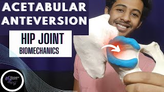 HIP JOINT PROXIMAL ARTICULATION HIP JOINT COMPLEX BIOMECHANICSPhysiotherapy Tutorials [upl. by Martinelli133]