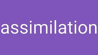 Assimilation Definition amp Meaning [upl. by Clover146]