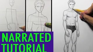 How to Draw Male Body Proportions Narrated Tutorial [upl. by Jane175]