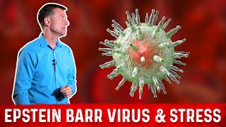 Dangers of the Epstein Barr Virus  Dr Susan Besser  Mercy [upl. by Ciprian339]