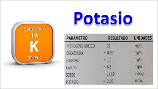 Homeostasis y trastornos del potasio [upl. by Laehcar662]