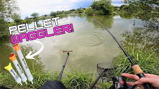 The simplest way to catch Carp shallow on the Pellet Waggler [upl. by Antons981]