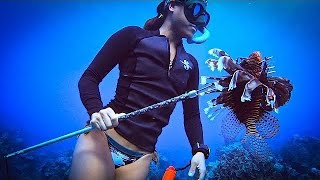 Spearfishing Catch amp Cook Deadly Venomous Fish [upl. by Yldarb]