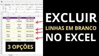 Como Excluir Linhas em Branco no Excel 3 MÃ©todos Simples [upl. by Yelserp822]