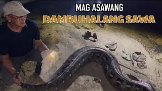 MAGASAWANG DAMBUHALANG SAWA [upl. by Adlemi143]