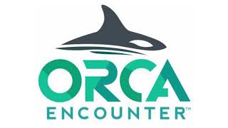 One big world  seaworld orca encounter soundtrack [upl. by Asiil432]