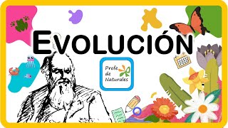 Evolución conceptos [upl. by Rodriguez]