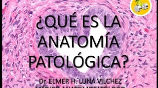 ¿QUÉ ES LA ANATOMÍA PATOLÓGICA  Dr Elmer Luna Vilchez [upl. by Tamara188]