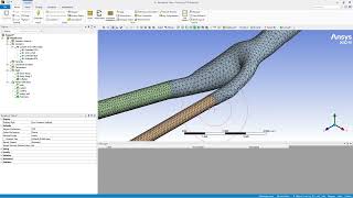 BME206Lab 01  Hemodynamic Analysis of 3D Bifurcating Carotid Artery without Postprocessing [upl. by Susumu]