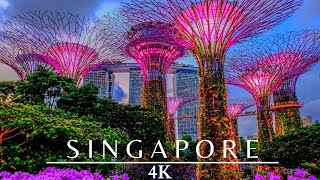 Singapore 4K Night 🇸🇬 Gardens By The Bay [upl. by Adnertal387]