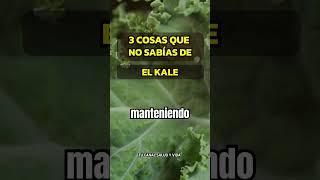 3 RAZONES PARA INCLUIR KALE EN TU DIETA saludables estilodevida sabiasque [upl. by Monia280]