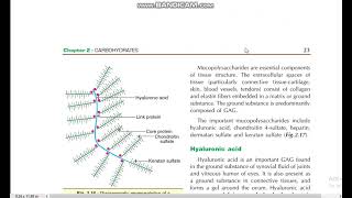 Heteropolysachharides structure of mucopolysachharides Hyaluronic acid biochemistry DMLT RPMC [upl. by Margaretha]