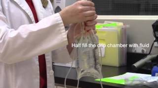 IV Fluids Setup for Canine Patient Veterinary Technician Education [upl. by Eidualc451]