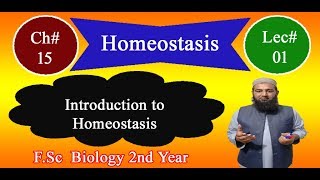 Biology Ch15Lecture01 Introduction to homeostasis FSc 2nd Year [upl. by Ymerej450]