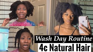 Easy Wash Day Routine for 4c NATURAL HAIR start to finish [upl. by Annoet650]