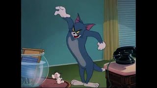 ᴴᴰ Tom and Jerry Episode 73  The Missing Mouse 1951  P33  TAJC  Duge Mite [upl. by Dnalor]