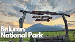 Exploring the Wild Beauty of Baluran National Park Indonesia [upl. by Libre453]