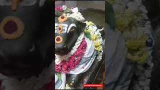 Enga ooru Shiva Peruman Pradosha Pooja🙏🙇‍♀️ [upl. by Mosora]