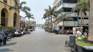 CAMINANDO EN TAMPICO TAMAULIPAS EN LA ZONA CENTRÓ VAMOSX8000 [upl. by Etom]