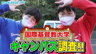 個性も国際色も豊か！ICU 国際基督教大学キャンパス調査！【wakatte TV】635 [upl. by Doxia]