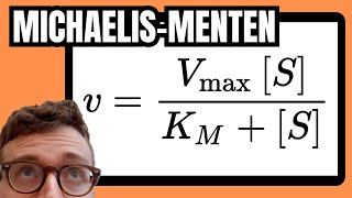 Michaelis Menten Equation Explained For Beginners [upl. by Ocimad]