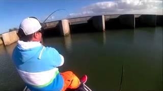 Fishing goolwa barrages part 2 with mark [upl. by Aliuqat]