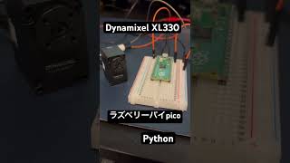 Dynamixel XL330M288Tをラズベリーパイpicoと Pythonで45度ずつ位置制御 シリアル通信 [upl. by Saudra856]