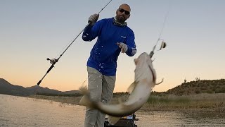 TOPWATER Bass Fishing at ROOSEVELT Lake AZ [upl. by Evered]