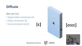 Wat is diffusie en waar is dit van afhankelijk [upl. by Aicineohp]