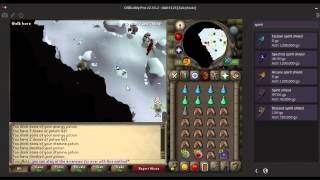 OSRS AVIANSIES WILDERNESS GUIDE GOOD CASHEXP HOUR [upl. by Sugihara]