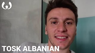 WIKITONGUES Enkelejd speaking Tosk Albanian [upl. by Tildy]