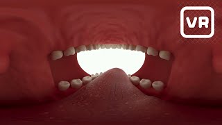 Realidade Virtual 360° Colgate [upl. by Pen778]