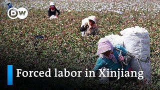 Xinjiang New reports on detention and forced labor of Chinas ethnic minorities  DW News [upl. by Aisyat308]