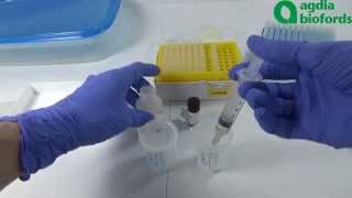 Plant Pathogen ELISA test How to evaluate the results [upl. by Kirit]