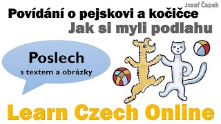 POSLOUCHEJ A ČTI O pejskovi a kočičce Jak si myli podlahu [upl. by Winnie]