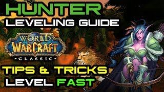 Hunter Leveling Guide  Tips amp Tricks for Leveling a Hunter in Vanilla [upl. by Janeva]