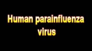 What Is The Definition Of Human parainfluenza virus  Medical Dictionary Free Online Terms [upl. by Kearney]