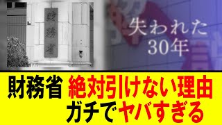 【衝撃】減税策に対して、引かない理由 ネット上で明かされる【自民党総裁選 首相 石破内閣】 [upl. by Sandie]