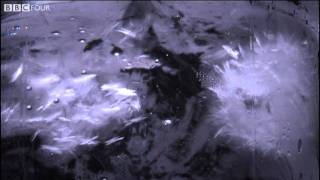 Instant Ice Crystals  The Secret Life of Ice  BBC Four [upl. by Meri269]