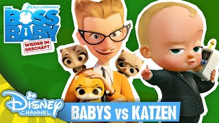 THE BOSS BABY  Babies gegen Kätzchen  Disney Channel [upl. by Aivartal]