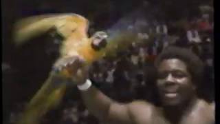 Honky Tonk Man vs KoKo B Ware [upl. by Vins313]